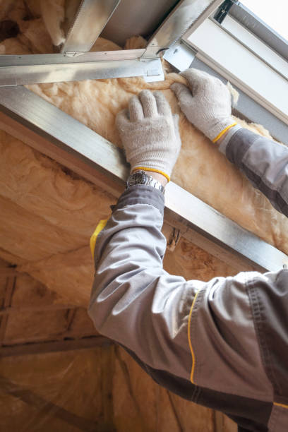 Best Insulation Installation Services in Bridgeport, IL