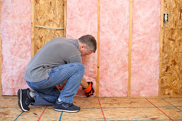 Best Insulation Materials and Products in Bridgeport, IL